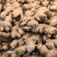 Gambar JAHE PUTIH 250 GR JAHE GAJAH FRESH KUALITAS SUPER PACK 250 GRAM dari Karya Pangan Nusantara undefined 5 Tokopedia