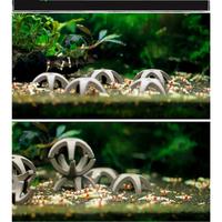 Gambar Rumah Udang Hiding Cave Red Cherry Red Bee Udang Caridina Neo Caridina /Tempat Sembunyi Udang Hias Aquascpe /  Aquarium Shrimp Star Shelters Hiding dari RZ LED SYSTEM undefined 3 Tokopedia