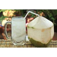 Gambar [Instant] Dogan Kemasan Kantong Air Kelapa Muda Segar Asli 100% Fresh Pure Coco Water Tanpa Campuran Pemanis Pengawet Minuman Berkhasiat Kesehatan Alami Detok Detox Stamina Tubuh Kelapo DES Hijau Ijo dari sentontime undefined 2 Tokopedia
