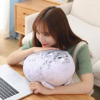 Gambar [ BEST ] Seal Plush Toy Animal Seal Pillow Mainan Boneka Plush Doll - 20cm dari VACTORIA undefined 4 Tokopedia