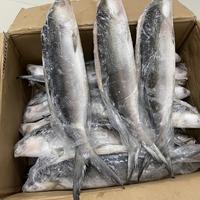 Gambar Ikan Bandeng Tanpa Duri Tulang / Cabut Duri Tulang Beku Super Premium @900-1000 gram dari 22-SHOP undefined 1 Tokopedia