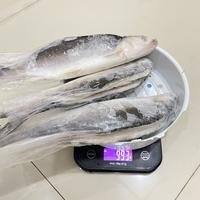 Gambar Ikan Bandeng Tanpa Duri Tulang / Cabut Duri Tulang Beku Super Premium @900-1000 gram dari 22-SHOP undefined 3 Tokopedia