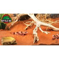 Gambar Exoterra Forest Branch Ranting Pohon Dekor Kandang Hewan Reptil Iguana - SMALL dari Anjani Co undefined 2 Tokopedia