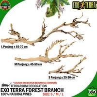 Gambar Exoterra Forest Branch Ranting Pohon Dekor Kandang Hewan Reptil Iguana - SMALL dari Anjani Co undefined 4 Tokopedia
