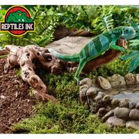 Gambar Exoterra Forest Branch Ranting Pohon Dekor Kandang Hewan Reptil Iguana - SMALL dari Anjani Co undefined 5 Tokopedia