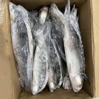 Gambar Ikan Bandeng Tanpa Duri Tulang / Cabut Duri Tulang Beku Super Premium @900-1000 gram dari 22-SHOP undefined 2 Tokopedia