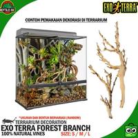 Gambar Exoterra Forest Branch Ranting Pohon Dekor Kandang Hewan Reptil Iguana - SMALL dari Anjani Co undefined 1 Tokopedia