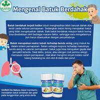 Gambar Obat Suara Serak Tenggorokan Batuk Berdahak, Batuk Kering, Herbal Tradisional Manjur dari tokomekarjayaabadii undefined 5 Tokopedia