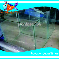 Gambar AQUARIUM SEDANG | AQUARIUM KACA | AQUARIUM AQUASCAPE | (KHUSUS INSTAN) - 20x20x20 cm dari mahkotafish undefined 2 Tokopedia
