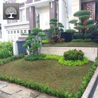 Gambar pembuatan taman minimal 68 dari Maju bersama florist undefined 1 Tokopedia