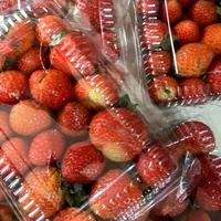 Gambar buah Strawberry segar 250 gram dari Defa Fresh Market undefined 2 Tokopedia