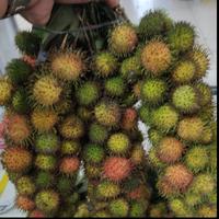 Gambar buah rambutan rapih ropiah garing manis ngelotok - BINJAI dari Asan Buah Segar undefined 5 Tokopedia
