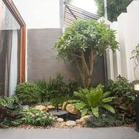 Gambar solusi taman rumah anda!!! dari Sentuhan alam landscape group undefined 4 Tokopedia