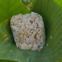 Gambar Tepung Tiwul/Tepung Gaplek/Tepung Singkong 1Kg dari Lawu Mocaf undefined 4 Tokopedia