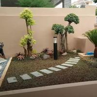 Gambar solusi taman rumah anda!!! dari Sentuhan alam landscape group undefined 3 Tokopedia