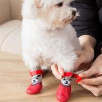 Gambar Terlaris WOOFIDOO Pet Waterproof Socks Dog Cat Kaos Kaki Boots Sepatu Anjing Hapy shoping dari wajibelanja undefined 5 Tokopedia