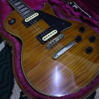 Gambar J&D guitar Les Paul Deluxe Model amber finish not gibson fender epiphone squire greco yamaha cort ltd esp dari LIAR MUSIC STORE undefined 1 Tokopedia