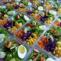 Gambar Salad Sayur Fresh Veggie Salad 500 ml dari Minot Homemade undefined 1 Tokopedia