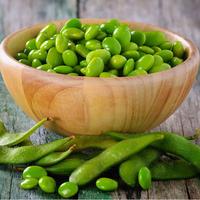 Gambar GOLDEN FARM EDAMAME SALTED 450GR - EDAMAME RASA SALTED - CAMILAN SEHAT - KACANG KACANGAN - BRONTZ JOGJA dari Brontz Jogja undefined 1 Tokopedia