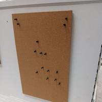 Gambar Terlaris Flonsa ikea papan gabus dengan pin papan memo mading cork board free pins 33 x 52 cm papan mading papan pengumuman dari WOEDENHOOL undefined 1 Tokopedia
