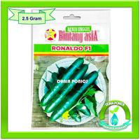 Gambar Benih Bibit Timun Jepang Hibrida RONALDO F1 Bintang Asia Kyuri Seeds dari Dunia Ponics undefined 1 Tokopedia