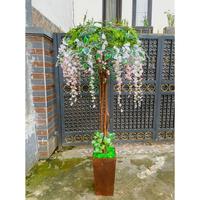 Gambar POHON WISTERIA 170 ARTIFICIAL HIASAN DEKORASI RUMAH KANTOR POHON POJOK BEST SELLER - Putih, Pot Hitam dari Sumber Abadi Sejahtera undefined 2 Tokopedia