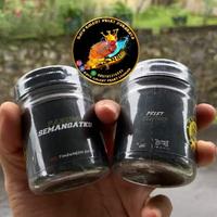 Gambar PELET GENTHO ORIGINAL BY TOBIL - PELET GENTO 45g dari Bayu Galeri Surabaya Utara undefined 3 Tokopedia