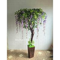 Gambar POHON WISTERIA 170 ARTIFICIAL HIASAN DEKORASI RUMAH KANTOR POHON POJOK BEST SELLER - Putih, Pot Hitam dari Sumber Abadi Sejahtera undefined 3 Tokopedia