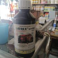 Gambar Anti Rayap Latrex 400ec Liter Obat Rayap dari TOKO ELENA JTN undefined 1 Tokopedia