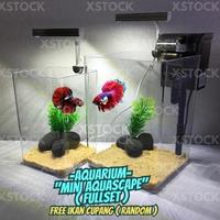 Gambar AQUARIUM KACA 60 55 50 45 40 CM VIA GRAB/GOJEK INSTAN AQUASCAPE TANK IKAN HIAS MURAH 100% - POLOS 40-25-25 dari SG WANNABE undefined 3 Tokopedia