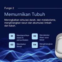 Gambar Itera Bio Lite PRIFE 100% ORI - Alat terapi kesehatan dari witriinces undefined 3 Tokopedia