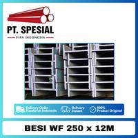 Gambar Besi WF 250 x 12 Meter / Wide Flange 250 x 12 KPSS 100 Btg - 05 dari Pt.Phoenix sejahtera mandiri undefined 3 Tokopedia