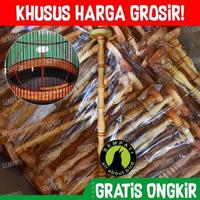 Gambar GROSIR Pion Tangkringan Batu Apung Sangkar Burung Branjangan 25 Cm dari Zoonimals Corner undefined 2 Tokopedia