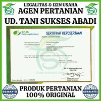 Gambar 100% NEW BENIH JAGUNG MANIS BONANZA F1 200 BIJI - BIBIT CAP PANAH MERAH HAPPY SHOPING dari Roki Roko undefined 1 Tokopedia