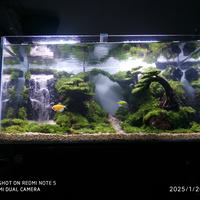 Gambar aquascape air terjun pasir wff ang dari pickup undefined 3 Tokopedia
