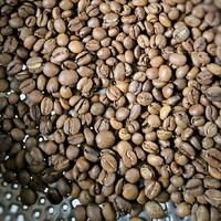 Gambar Coffee Excelsa Roastbean Premium kopi excelsa liberika Temanggung - 1kg Bubuk dari Volcano Coffee_NEW undefined 2 Tokopedia