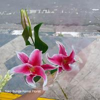 Gambar Fresh Flower Bunga Lily Segar Pertangkai - Pink dari toko bunga kemal florist undefined 2 Tokopedia
