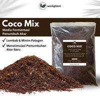 Gambar Coco Mix - Media Tanam Siap Pakai untuk Tanaman Baby & Perbanyakan DT dari Barokah tani_store undefined 1 Tokopedia