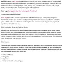 Gambar [MP] IPAKITINE Obat Gagal Ginjal Kucing Anjing Cat Urinary Sakit Susah Gangguan Kencing Batu Muntah Diare Mencret Lemas Kean Ampuh IPAKITIN dari MEDPATH undefined 3 Tokopedia