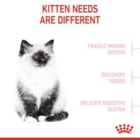 Gambar Makanan Kucing Premium Cat Food Royal Canin Kitten 36 2 Kg RC Anakan dari Petshop Murah Tangsel undefined 3 Tokopedia