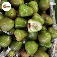 Gambar Jambu Air Citra manis / Jambu Cincalo Madu Hijau Super - Jambu Cincalo, 500gr dari Gudang Buah Nusantara undefined 5 Tokopedia