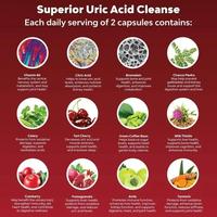 Gambar IMPORT HERBAL URIC ACID CLEANSING DETOX - GOUT CLEANSING SUPPLEMENT - CELERY SEED TART CHERRY BENEFITS JOINT AND URINARY SYSTEM HEALTH dari koputy undefined 3 Tokopedia