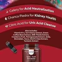 Gambar IMPORT HERBAL URIC ACID CLEANSING DETOX - GOUT CLEANSING SUPPLEMENT - CELERY SEED TART CHERRY BENEFITS JOINT AND URINARY SYSTEM HEALTH dari koputy undefined 5 Tokopedia
