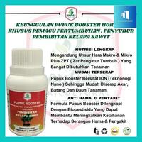 Gambar Suras- Pupuk Khusus Bibit Kelapa Sawit Pupuk Bibit Sawit Kecil Pupuk Untuk Kecambah Sawit Pupuk Daun Untuk Bibit Sawit Pupuk Terbaik Kelapa Sawit - 100 ML dari Surasararu undefined 4 Tokopedia