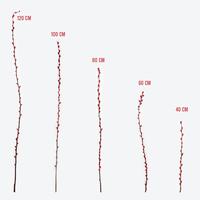 Gambar Pussy Willow Red Berry Fwr CNY - 40cm dari Sbarli Shop undefined 2 Tokopedia