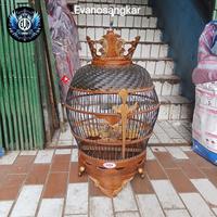 Gambar Sangkar burung puter/tekukur kayu jati dari Evanosangkar undefined 2 Tokopedia
