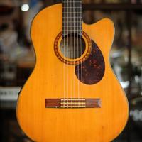 Gambar gitar klasik elektrik brunswick original dari vegitarian music store undefined 2 Tokopedia