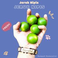Gambar Jeruk Nipis 250 gram jeruk nipis segar Buah Asam dari Rempah homecalist undefined 1 Tokopedia
