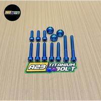 Gambar Baut titanium cvt vario 125-150&pcx CBU (set cover cvt) - Bluepurple dari A23 titanium bolt undefined 1 Tokopedia