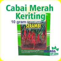 Gambar Benih Cabai Merah Keriting Serambi 10 gram Benih Petiwi dataran rendah bibit biji laris sayur sayuran srambi cabe kriting hydroponik hidroponik dari Lolii storeid undefined 1 Tokopedia